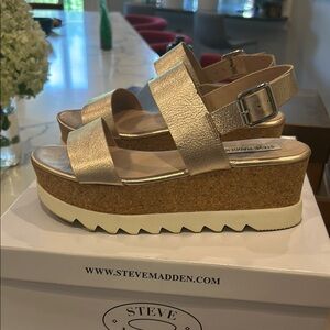 Steve Madden Metallic Gold Platform Sandals